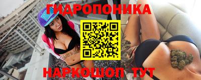 apvp Кунгур