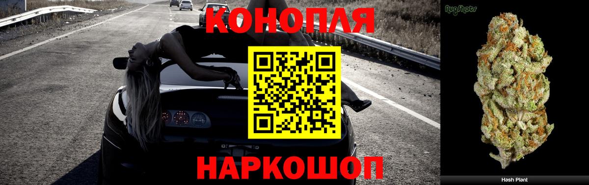 Конопля план  Конопля семена  Шишки марихуана White Widow  Щёлково  Вход с VPN 